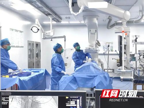汝城縣人民醫院獲評心血管疾病防治技術牽頭單位，引領區域健康服務新篇章